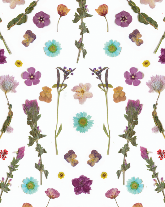 Pressed Fresh Version 02 Wallpaper, purple and blue - Tampa Home & Garden Store