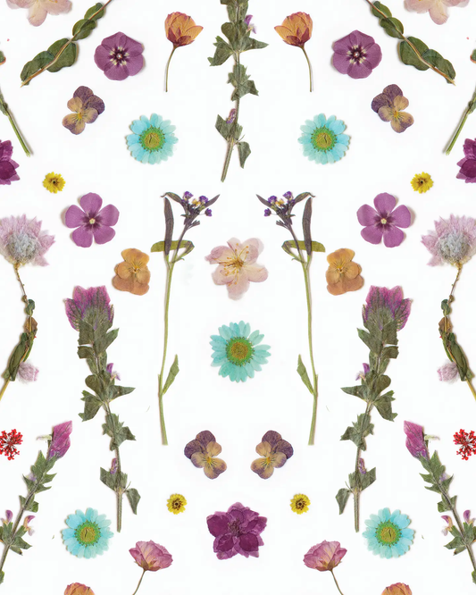 Pressed Fresh V02 wallpaper with purple and blue pressed flowers on white background on Tampa Home & Garden Store