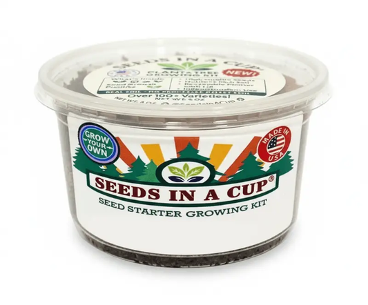 Pumpkin Seed Germination Kit by Seeds In A Cup, seed starter growing kit in clear tub on Tampa Home & Garden Store