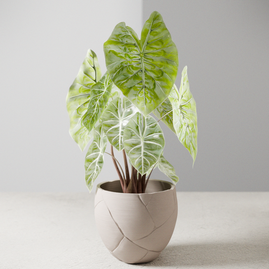 QUAKE Planter - Tampa Home & Garden Store