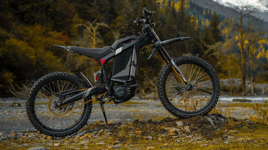 Eunorau R1 72V 4000W mid-motor electric dirt bike with black frame and gold forks on Tampa Home & Garden Store