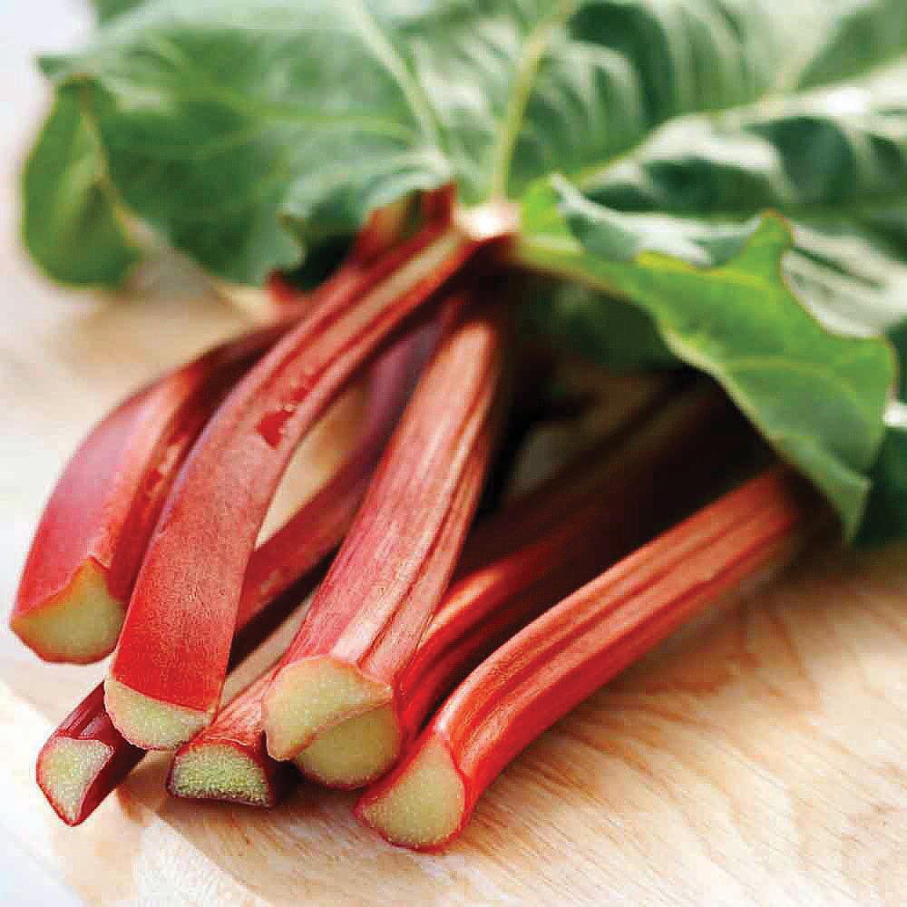 Victoria rhubarb stalks with red skin and pale green interiors on a cutting board on Tampa Home & Garden Store