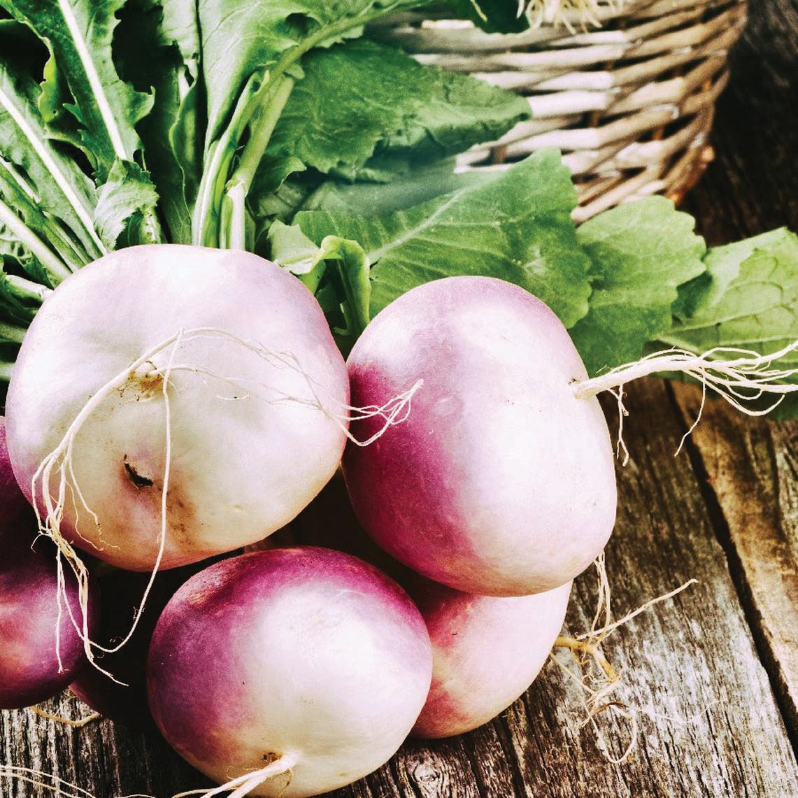 Purple white globe turnips with green tops on rustic wooden surface on Tampa Home & Garden Store