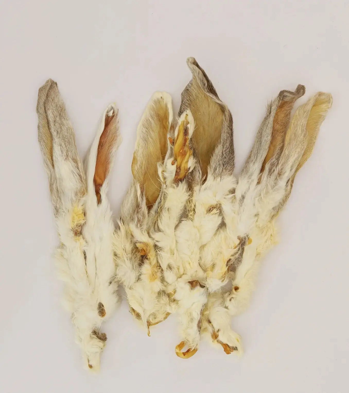 Rabbit Ear - 1 Count - Tampa Home & Garden Store