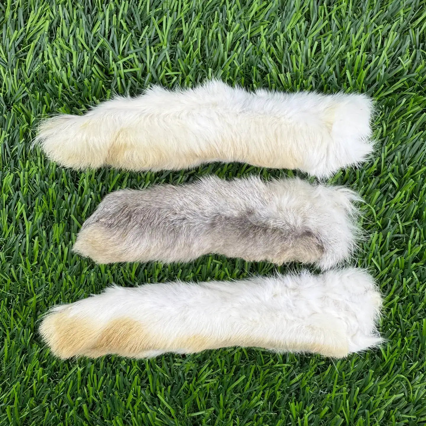 Rabbit Foot - 1 Count - Tampa Home & Garden Store