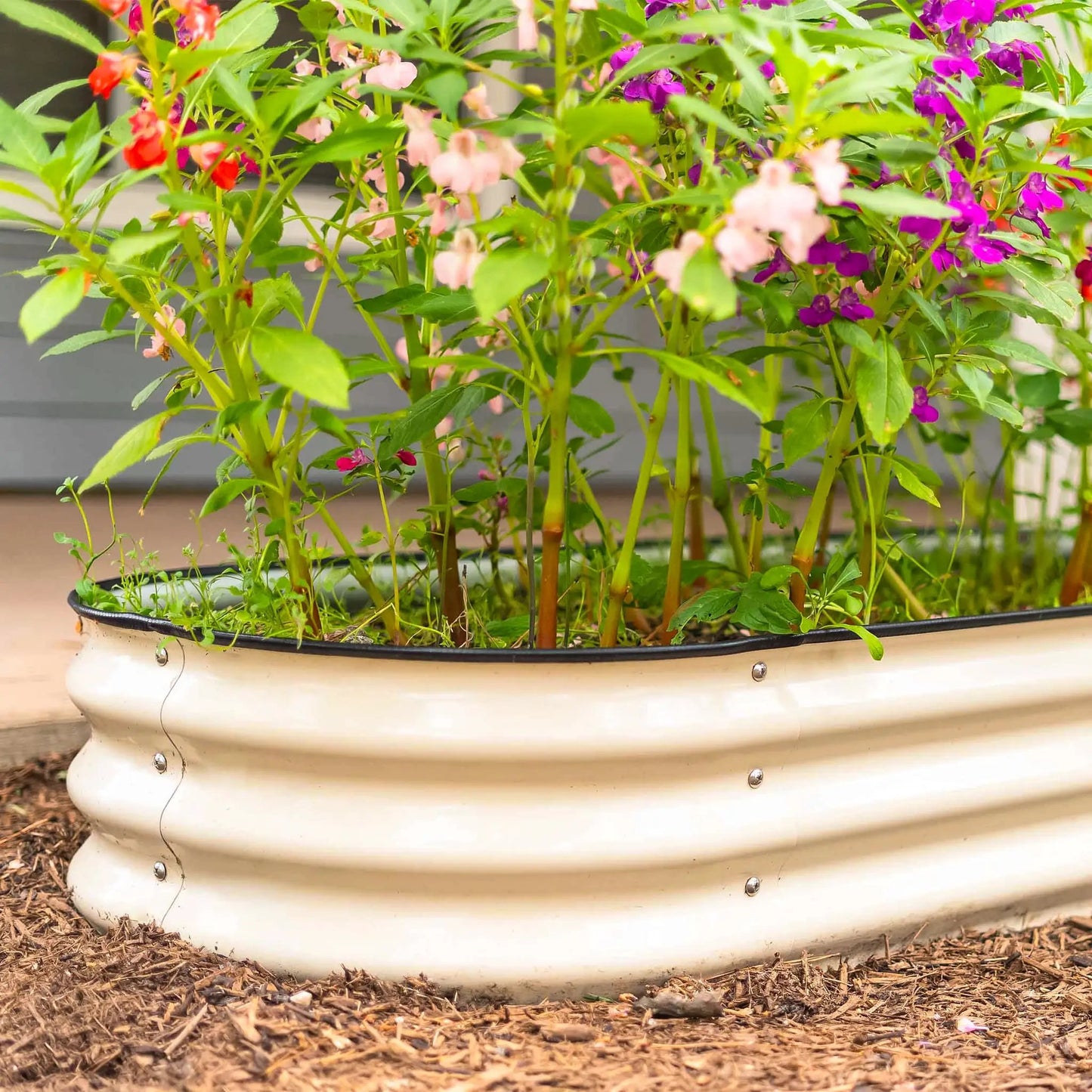 3-Pack raised garden bed installation bundle in white planter with herbs and flowers on Tampa Home & Garden Store