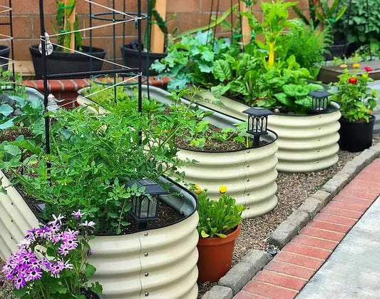 Raised garden beds installation with bright greens and trellises on Tampa Home & Garden Store