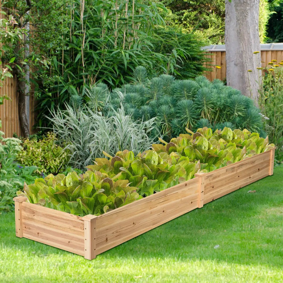 Wooden Vegetable Raised Garden Bed for Backyard Patio Balcony - Tampa Home & Garden Store
