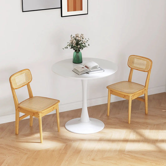 Set of 2 natural rattan dining chairs with cane backrests and light wood frames on Tampa Home & Garden Store