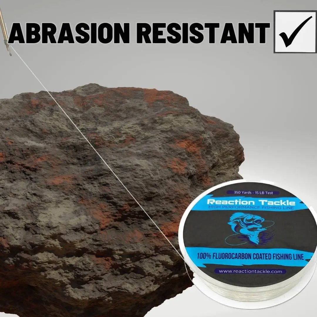 Reaction Tackle fluorocarbon coated fishing line spool with blue label, clear line over rock on Tampa Home & Garden Store