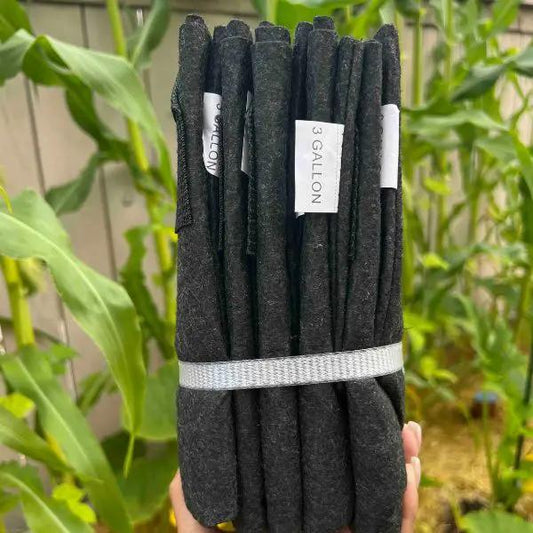 Ready-to-Go worm bag bundle Meme's Worms, Eisenia fetida 3gal for composting black on Tampa Home & Garden Store