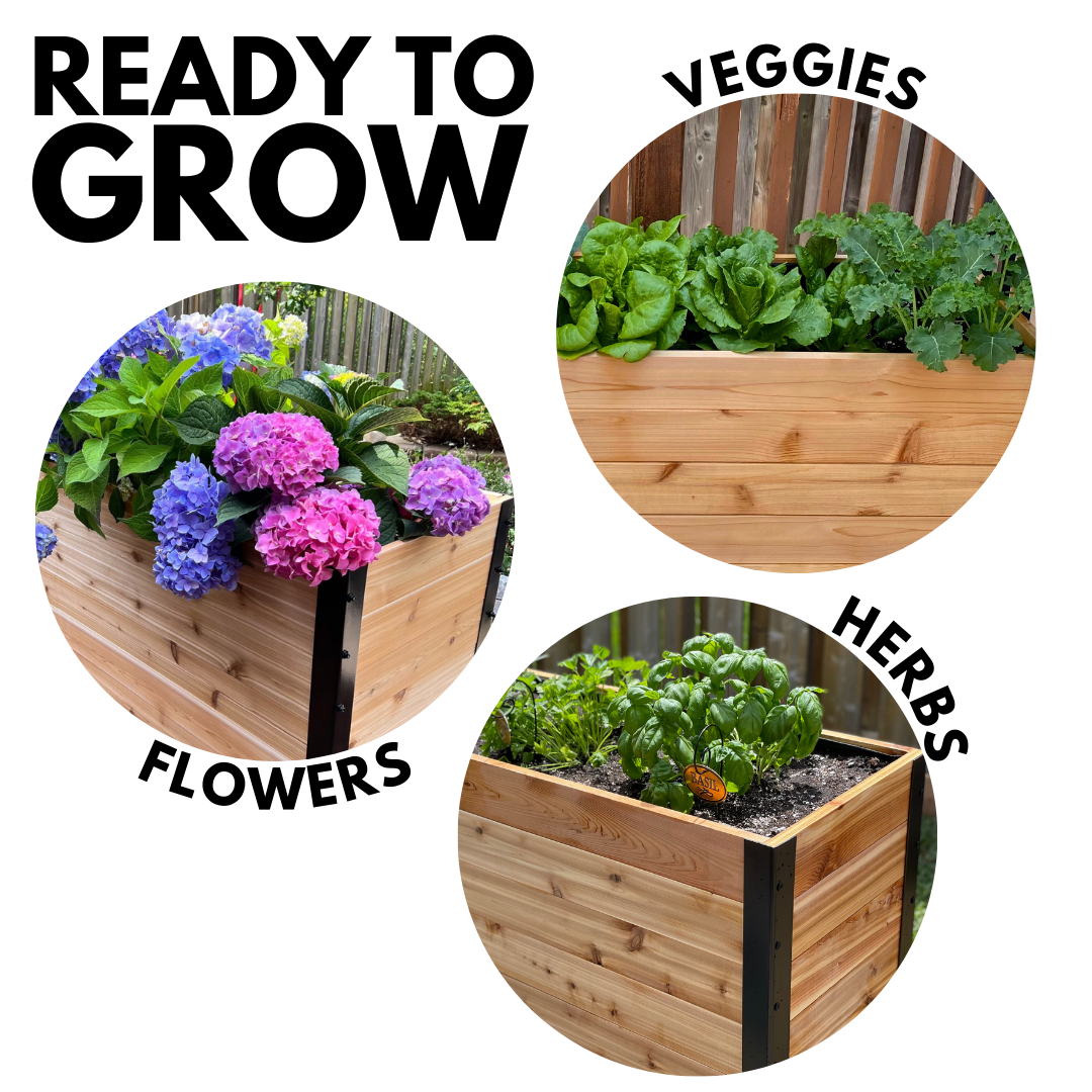 18" x 24" Small Cedar Planter Box | 24" Tall