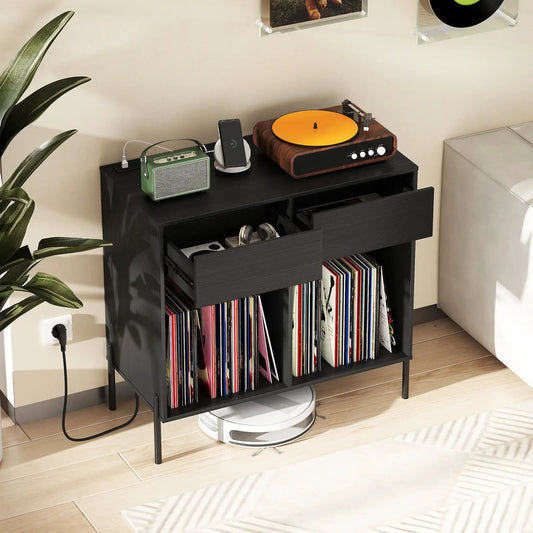 Double Wide Record Stand with Power Outlets, black finish, vinyl storage and top turntable on Tampa Home & Garden Store