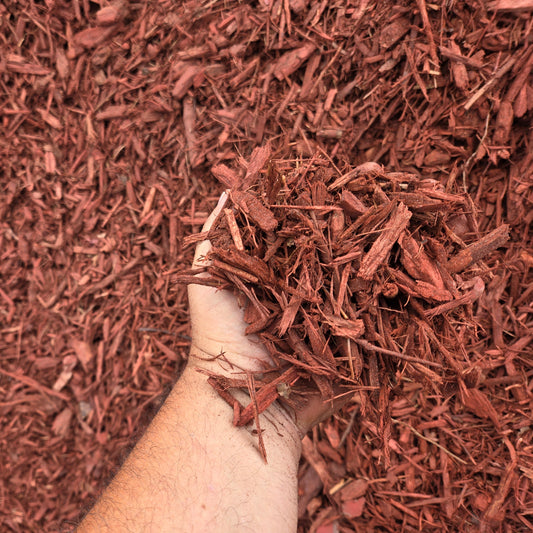 red mulch close up in my hand