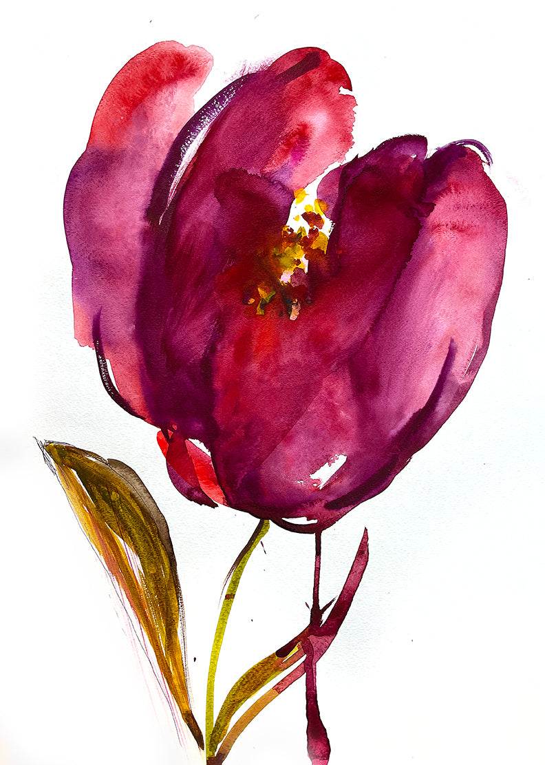 Red Tulip Abstract