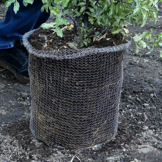 Root Guard Speed Basket 1 Gal plant root protection basket with galvanized wire mesh on Tampa Home & Garden Store