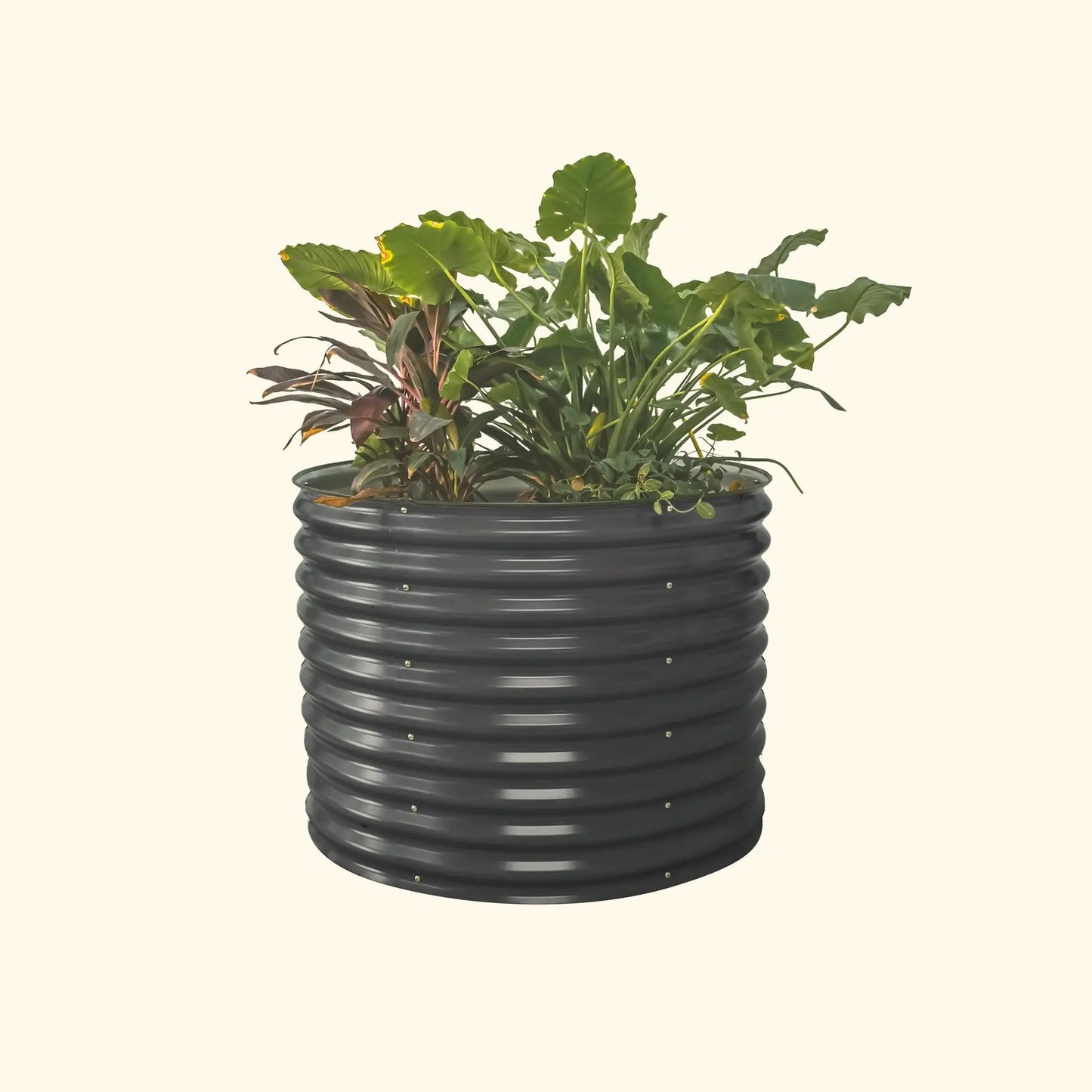 Round black raised garden bed planter with a green leafy plant on Tampa Home & Garden Store