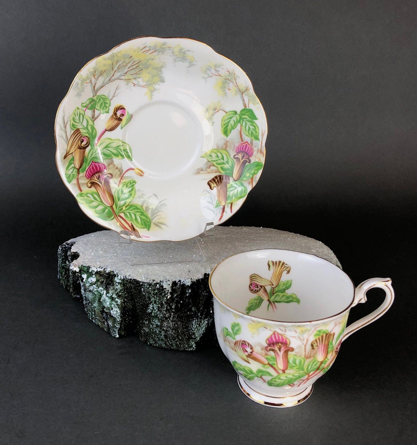 Royal Albert Teacup with Saucer. Tea Set with Jack- in-a-Pulpit. Intricate Handle and Scalloped Saucer, Made in England. - Tampa Home & Garden Store