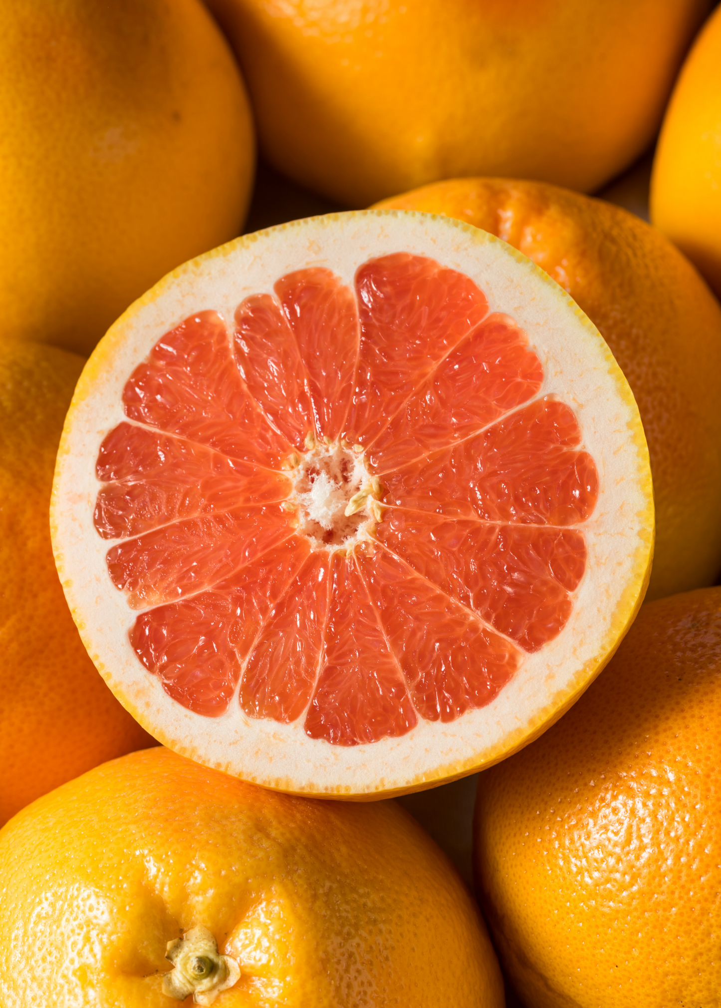Ruby Red Grapefruit Tree (Citrus × paradisi) - Tampa Home & Garden Store