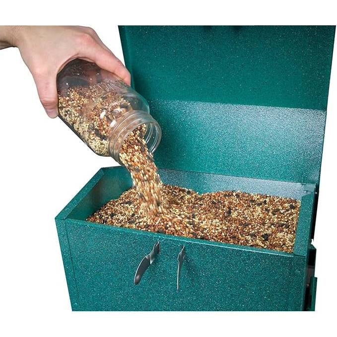 Rugged Green Metal Squirrel-Proof Bird Feeder with Easy-Refill Top - Tampa Home & Garden Store