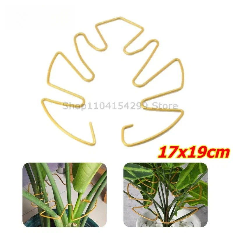 Iron Plant Stem Support Clips for Monstera Vine