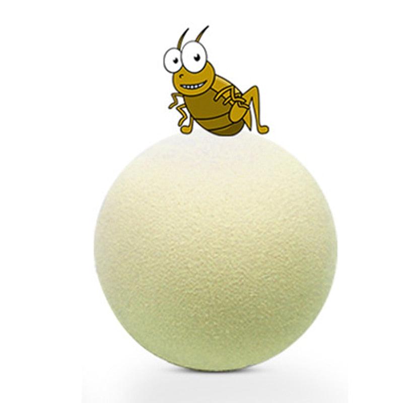 Stevvex cat toy gravity ball with textured pale yellow-green surface and bee graphic on Tampa Home & Garden Store