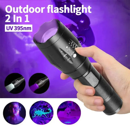 2 in 1 UV Flashlight 395nm Type C Rechargeable Blacklight Pet Stain Detection - Tampa Home & Garden Store