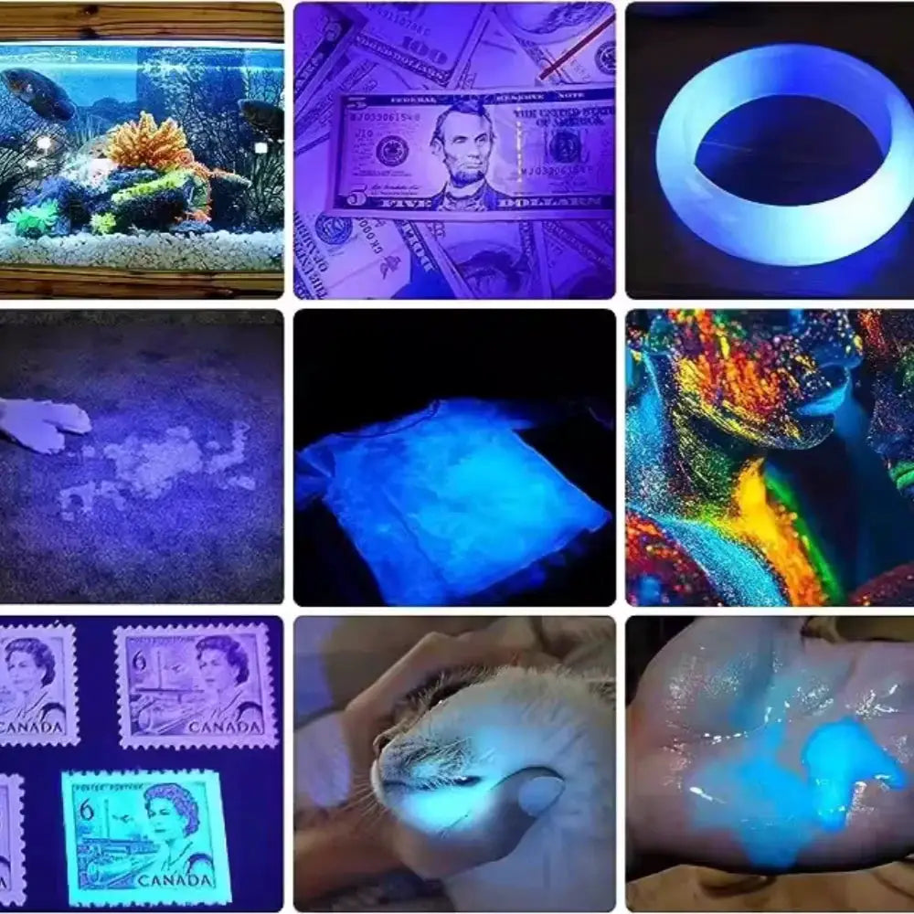 2 in 1 UV flashlight 395nm Type-C blacklight handheld torch Moktan Sabai; 9 UV glow scenes on Tampa Home & Garden Store