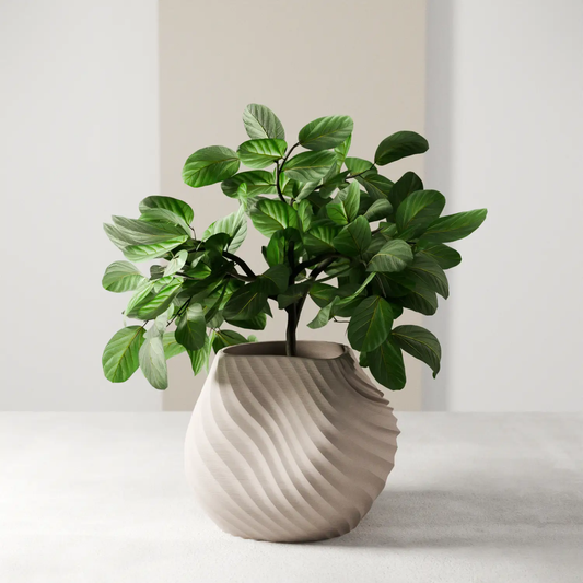Sea Planter in a beige ribbed ceramic pot with lush green leaves on Tampa Home & Garden Store