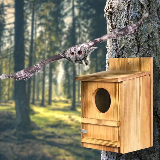 Wooden Screech Owl Bird House for Mounting natural wood HomePacific owl in flight near box on Tampa Home & Garden Store