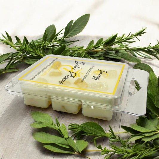 Solar Plexus Chakra Crystal-Enhanced Premium Coconut-Soy Wax Melts - Tampa Home & Garden Store