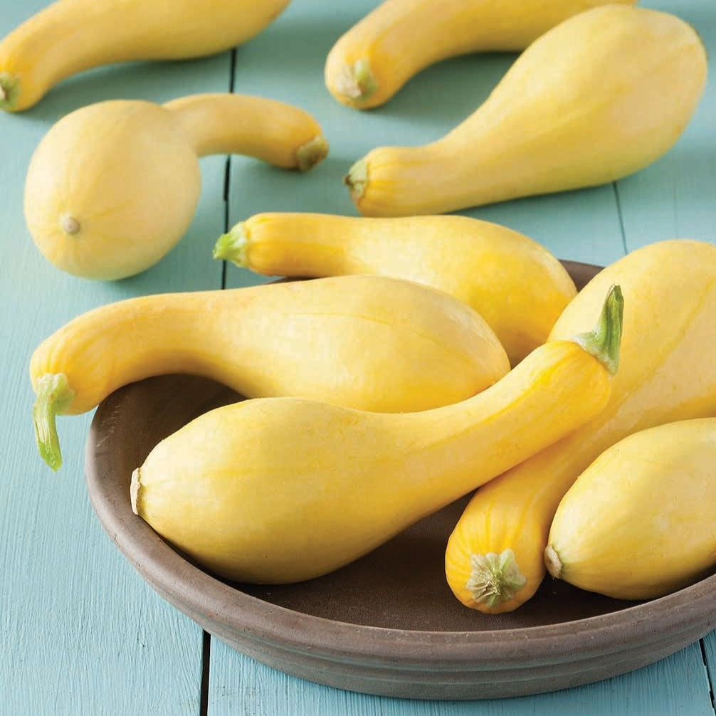 Crookneck squash on a brown plate; yellow summer squash with green stems on turquoise table on Tampa Home & Garden Store