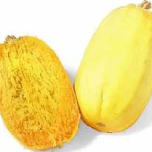 Spaghetti squash, two yellow-orange heirloom bulk fruits on Tampa Home & Garden Store