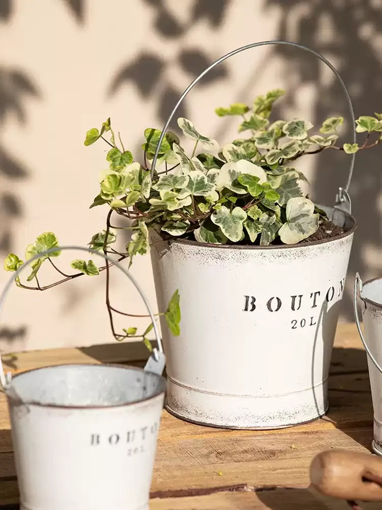 Two white RusticReach farmhouse bucket planters with trailing ivy, 20L each on Tampa Home & Garden Store