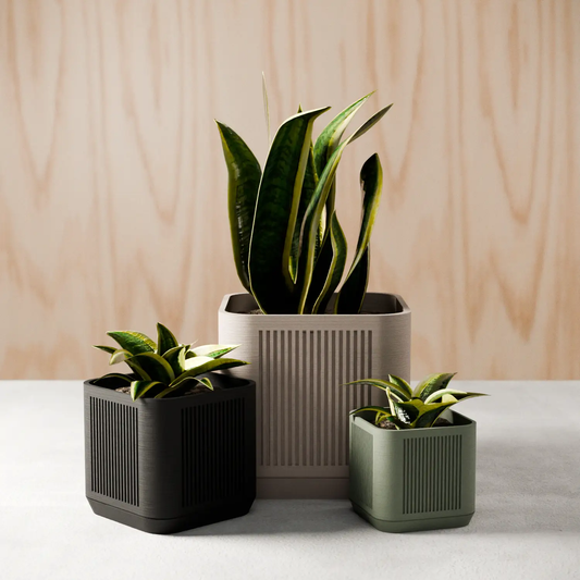 Stack Planter Modern Garden Planter set of four planters in black gray white with snake plants on Tampa Home & Garden Store