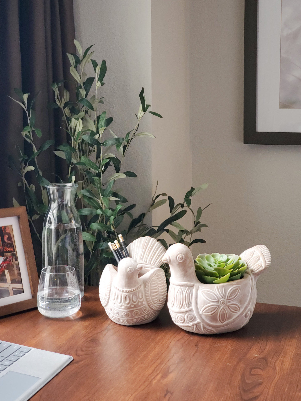 Terracotta Pot - Turtle Dove - Tampa soil911.com