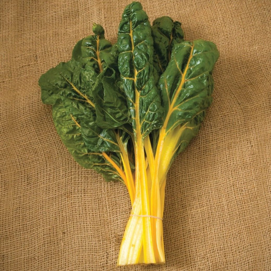 Orange Swiss chard bundle with yellow stems and dark green leaves on burlap on Tampa Home & Garden Store