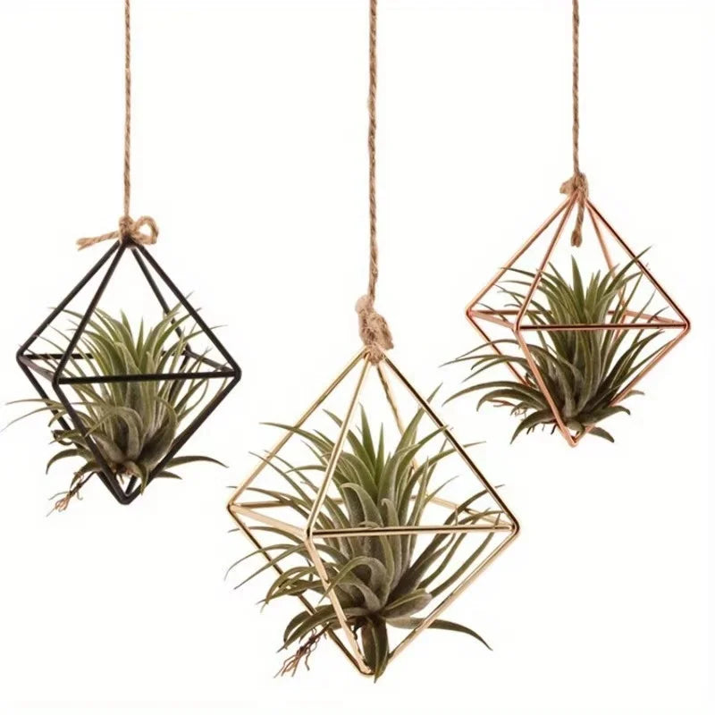 4 Metal Geometric Air Plant Stands and Holders