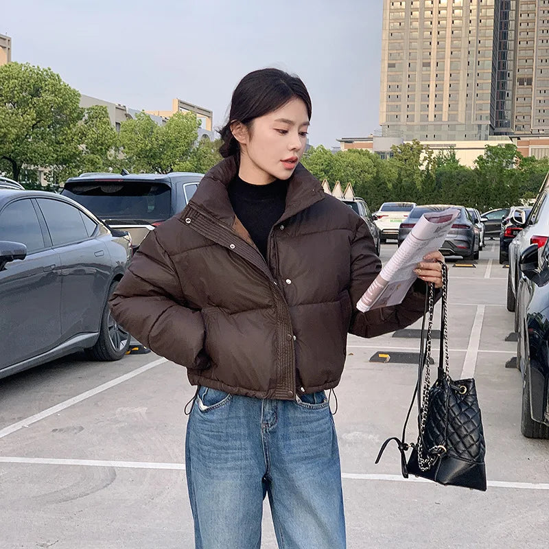 Women winter cropped puffer jacket cotton padded by UpTrend Deals with black quilted handbag on Tampa Home & Garden Store