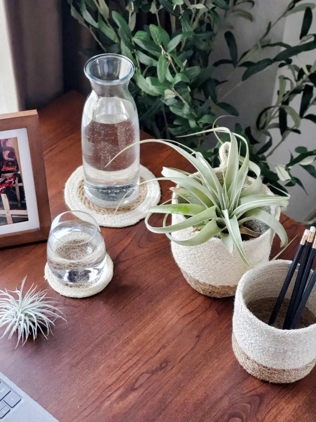 Set of 4 Savar Drink Coasters in natural seagrass jute on wood desk with glass carafe and plant on Tampa Home & Garden Store