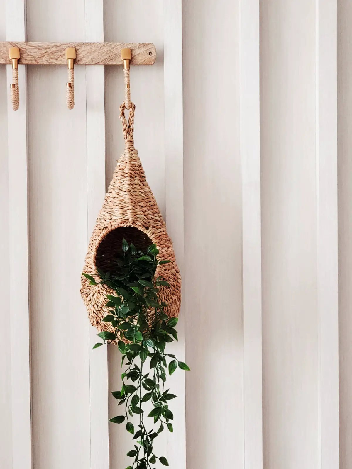 Savar Pot Planter handwoven seagrass basket plant hanger with trailing greenery beige on Tampa Home & Garden Store