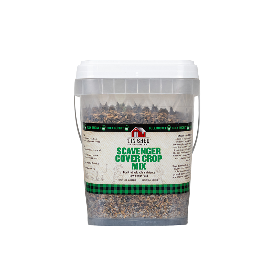 Scavenger Cover Crop Mix seeds in a clear bulk bucket labeled Tin Shed Seed Company on Tampa Home & Garden Store