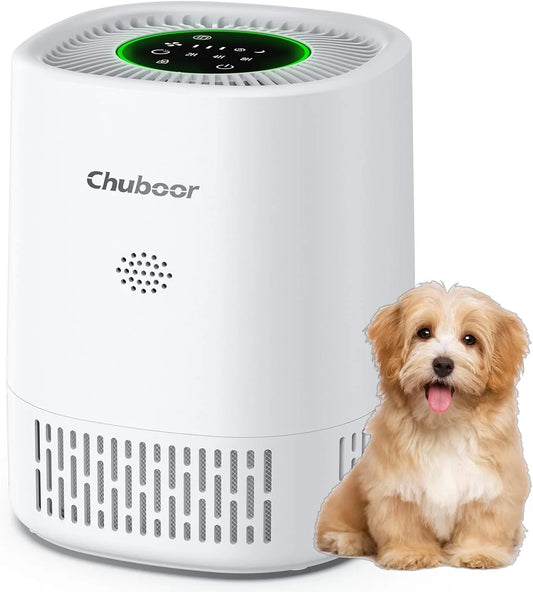 Air Purifier for Bedroom Home with HEPA Filter Smoke Allergies Pet Odor Dust - Tampa Home & Garden Store