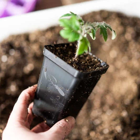 Seed Starter Pots - 2.5" Extra Strength - Tampa Home & Garden Store