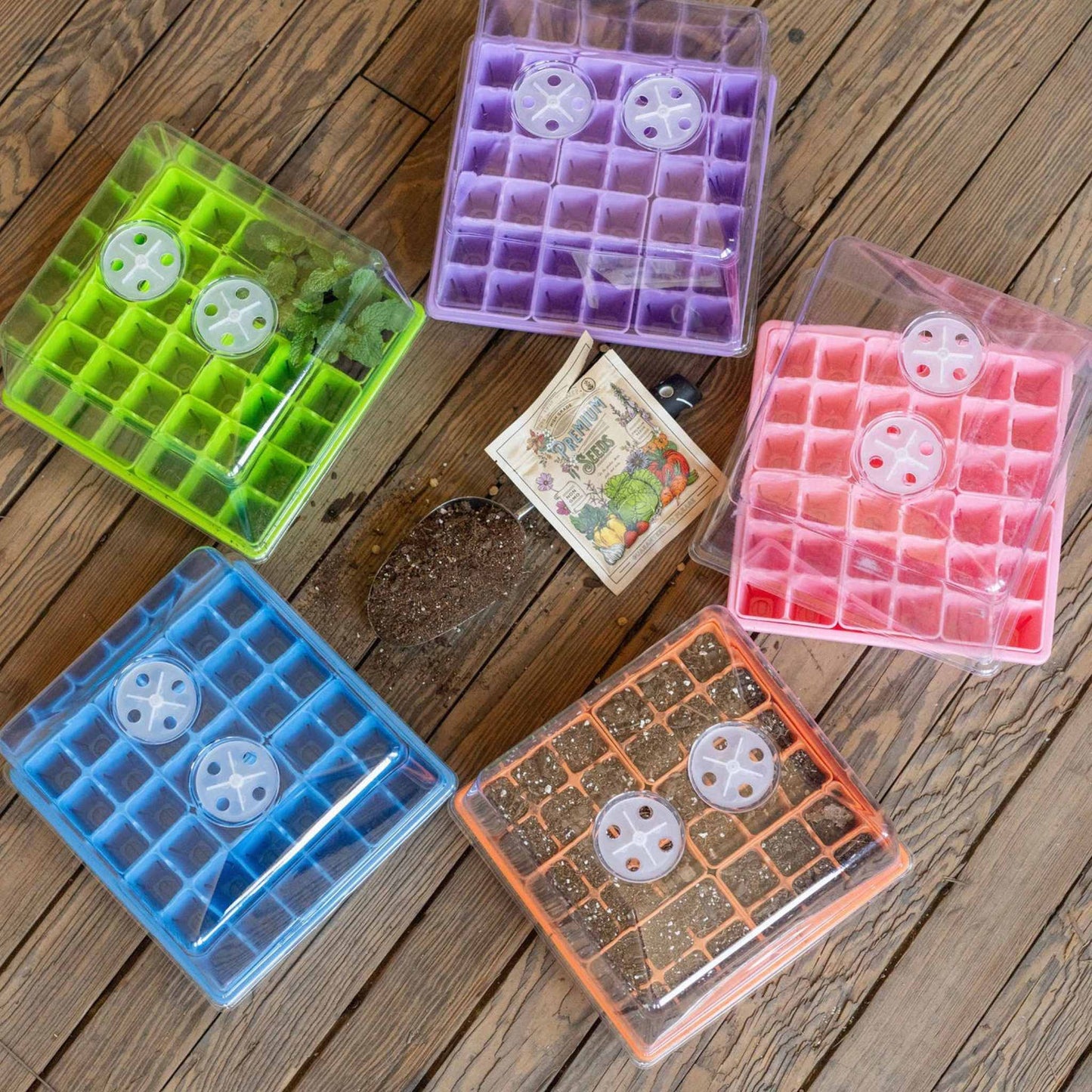 Seed Starting Workshop Bundle - Tampa Home & Garden Store