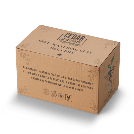 Self-Watering Clay Olla Pot - Tampa Home & Garden Store