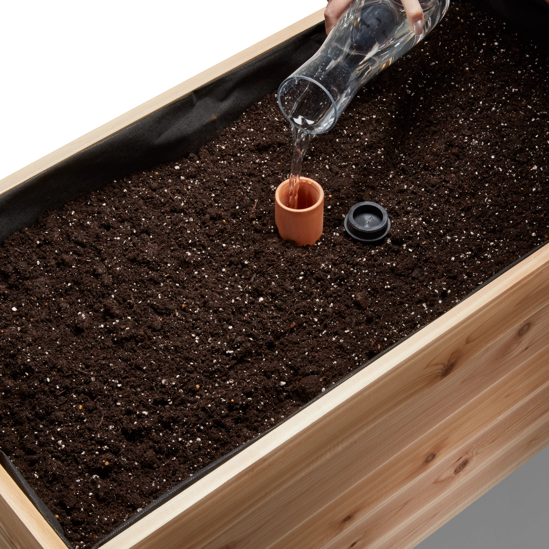 Self-Watering Clay Olla Pot - Tampa Home & Garden Store