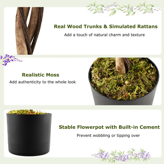 Set of 2 Fake Ficus Plant 6 FT Artificial Wisteria Tree with Natural Trunks and Purple Lifelike Flowers - Tampa Home & Garden Store