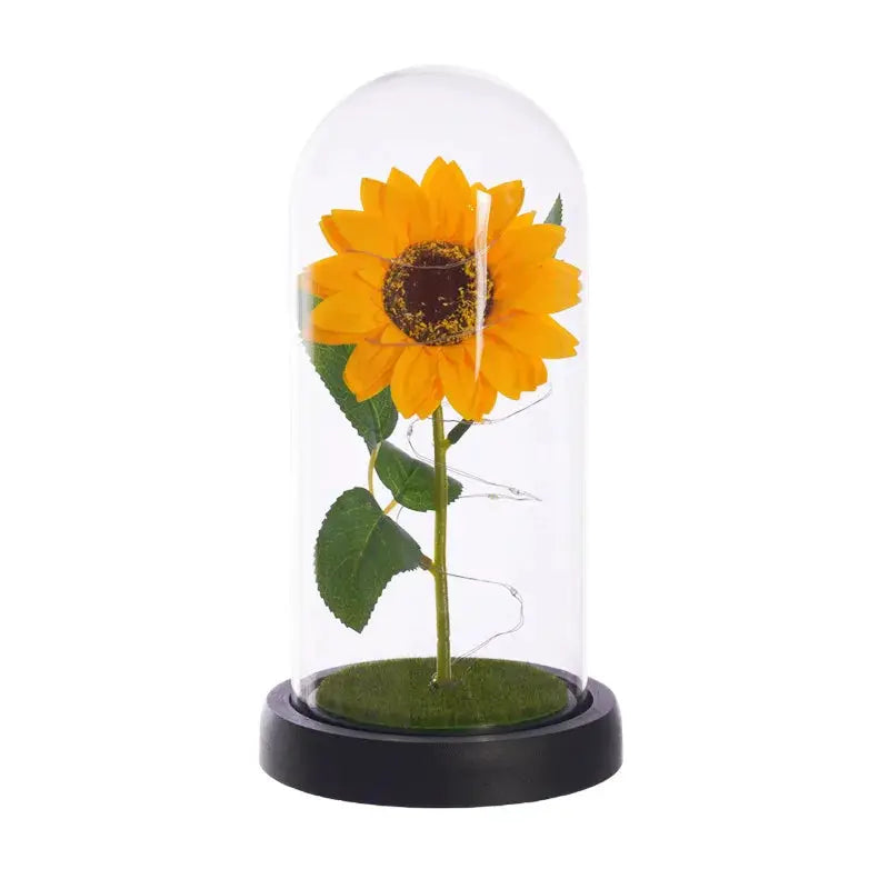 Sunflower LED dome lamp inside glass dome on black base Moktan Sabai Gift for Mom on Tampa Home & Garden Store