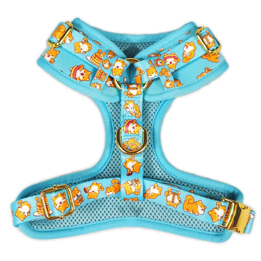 Shiba Mania Harness turquoise neoprene with gold buckle hardware on Tampa Home & Garden Store
